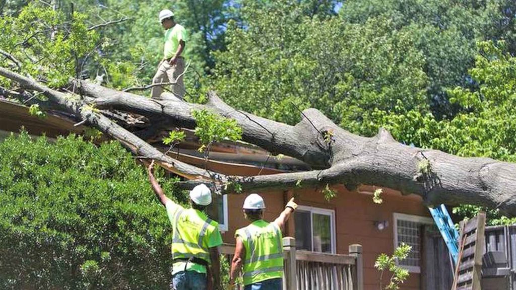 Storm Damage Emergency Cleanup